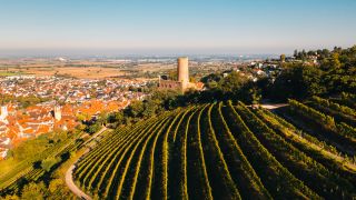 Winzergenossenschaft eG Schriesheim