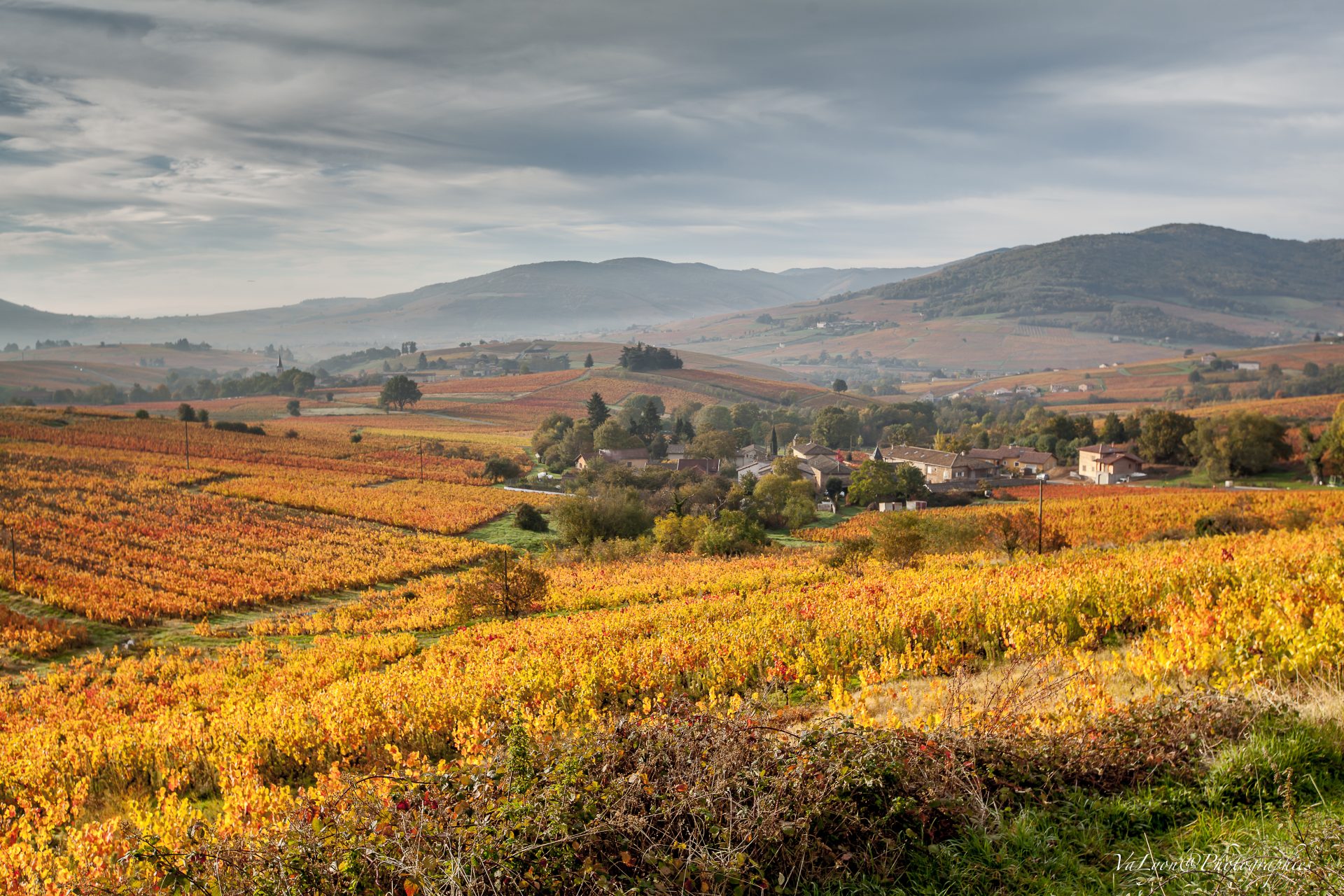 Cave de Liergues