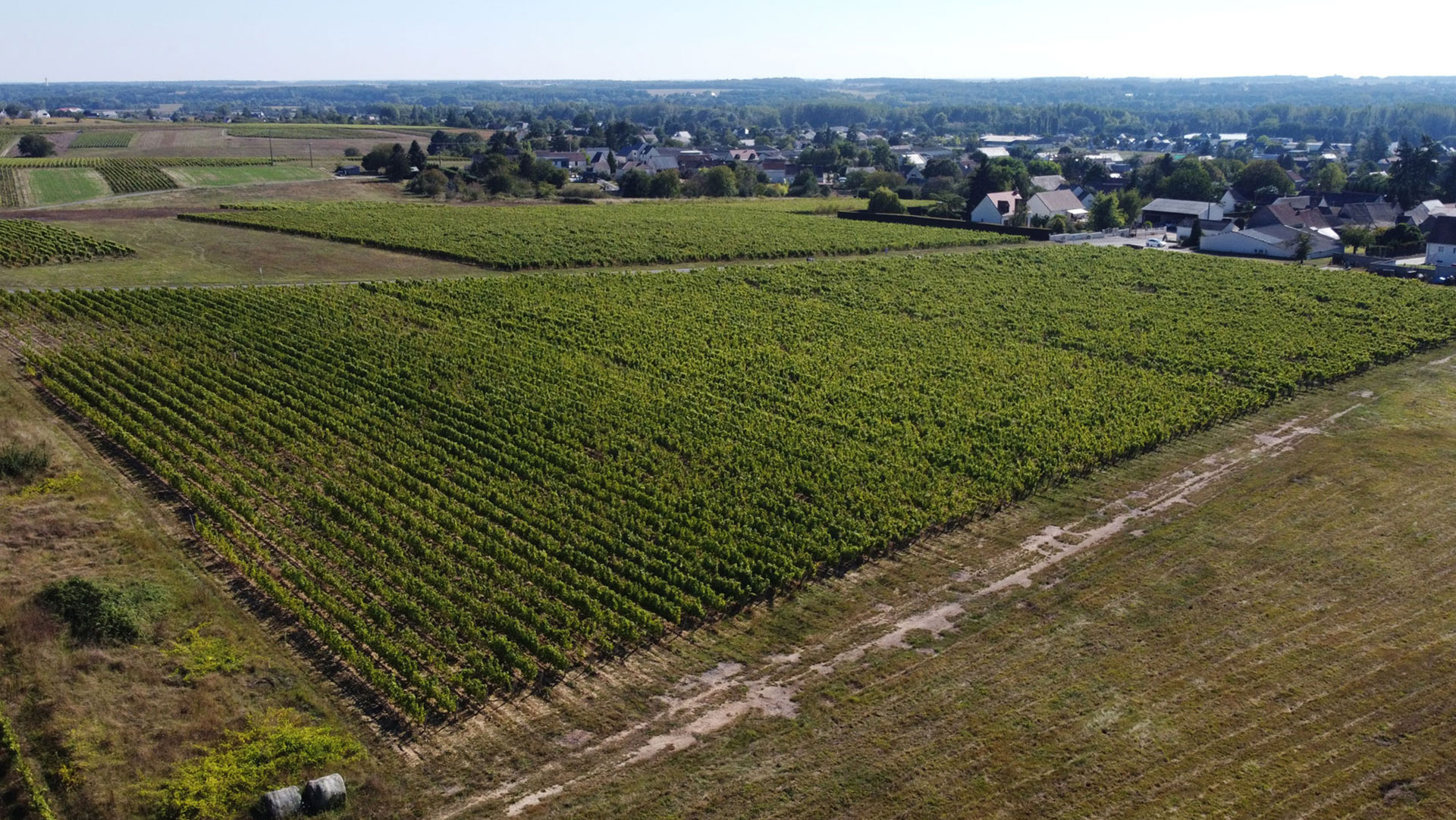 Domaine Mosny