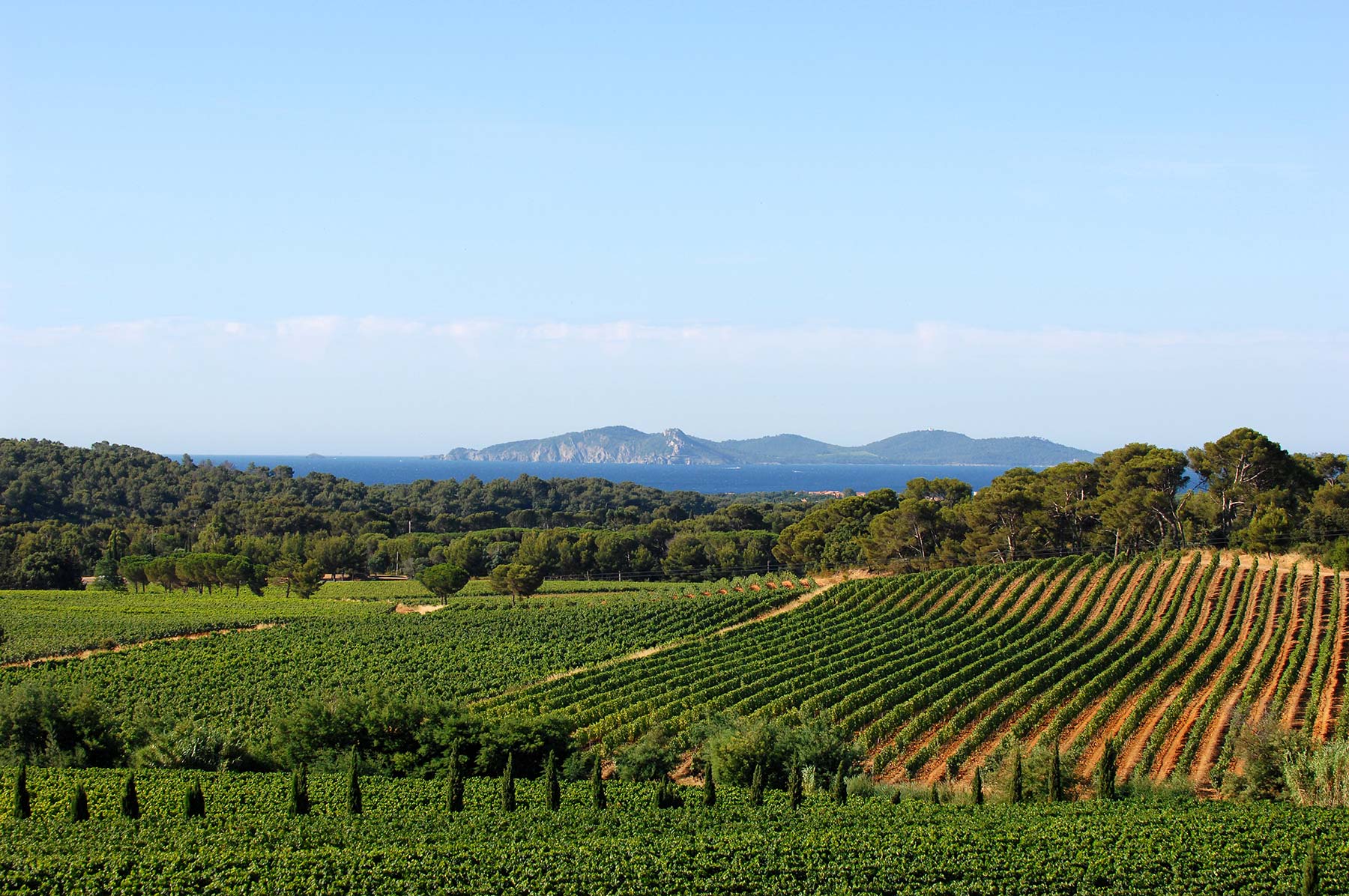 Chateau Maravenne