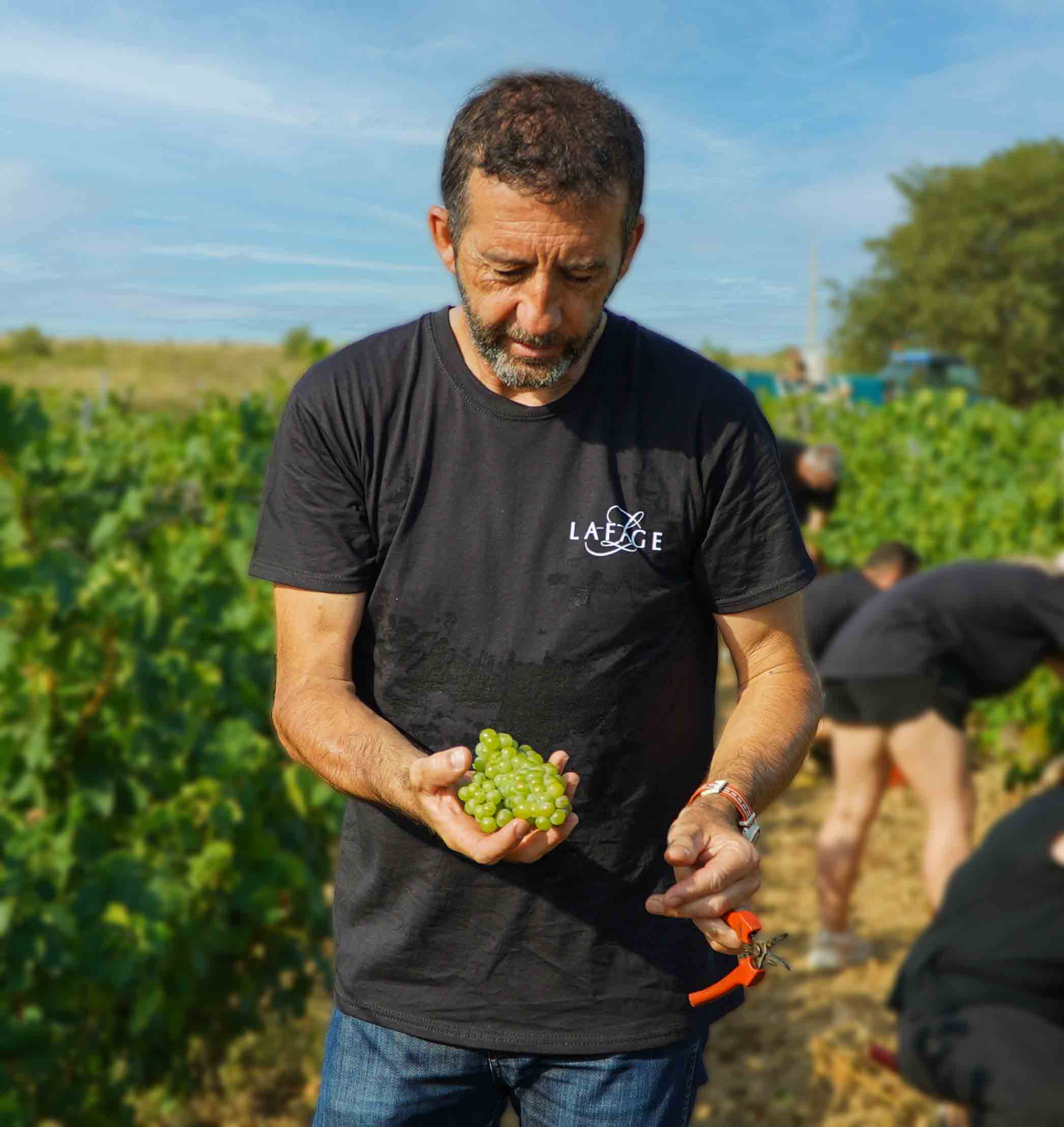 Caveau domaine Lafage