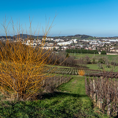 Domaine Pignier
