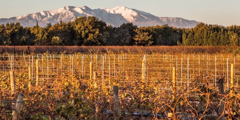 Domaine Saint-Thomas