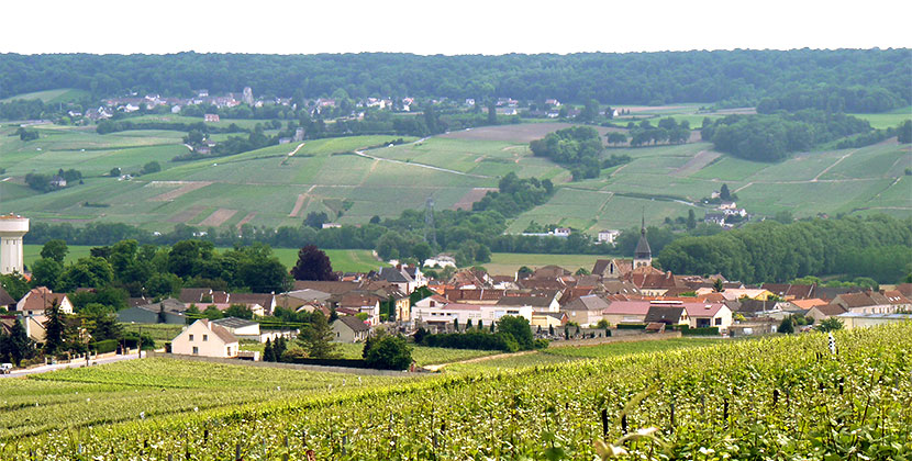 Champagne Henri Lemaire