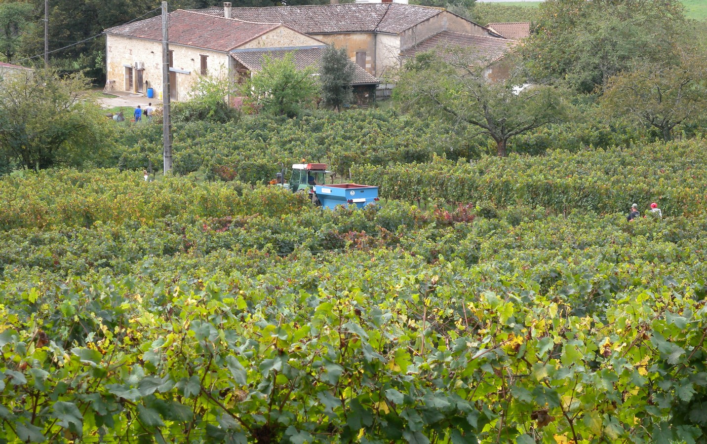 Domaine des Costes