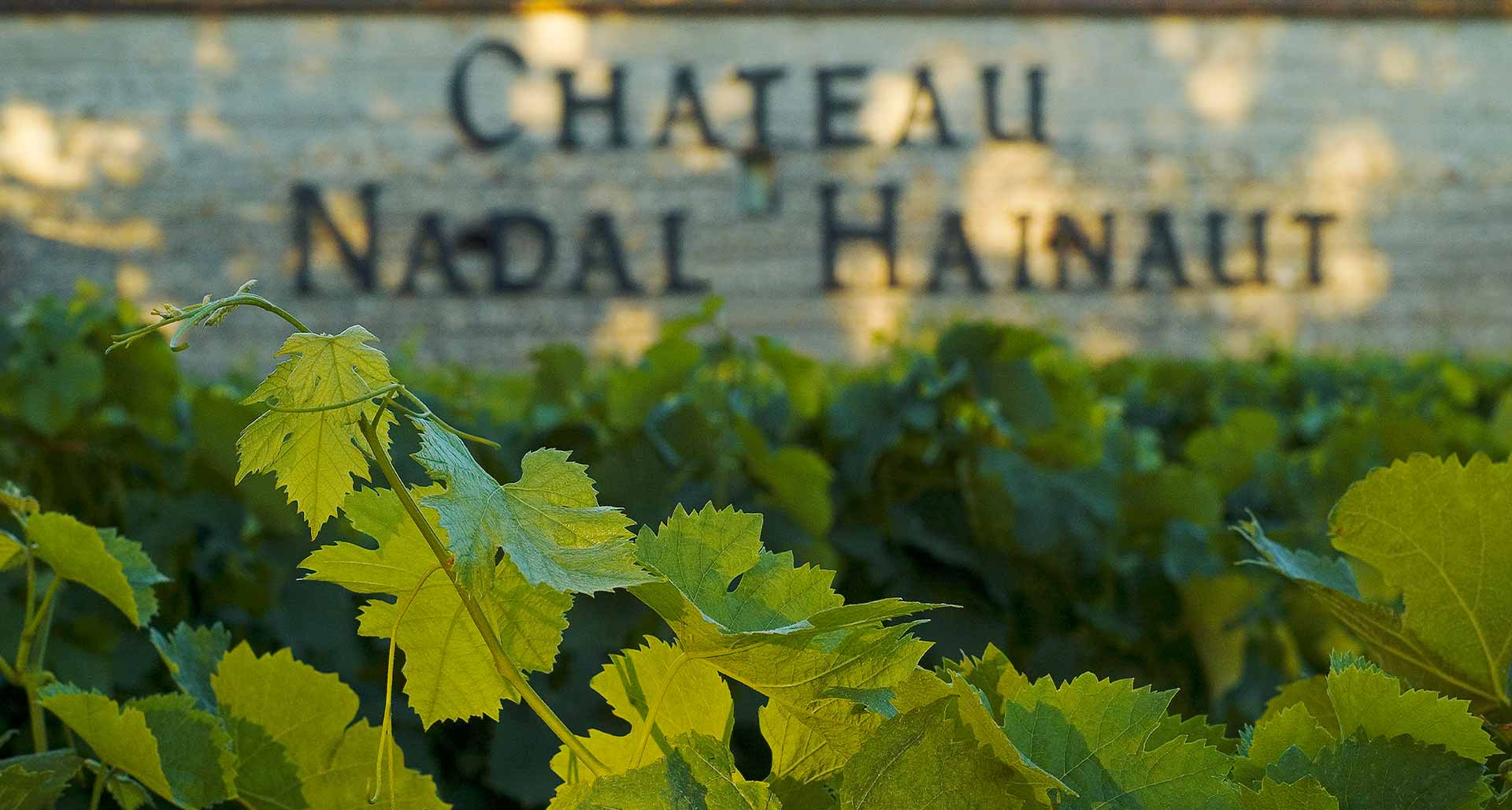 Château Nadal Hainaut