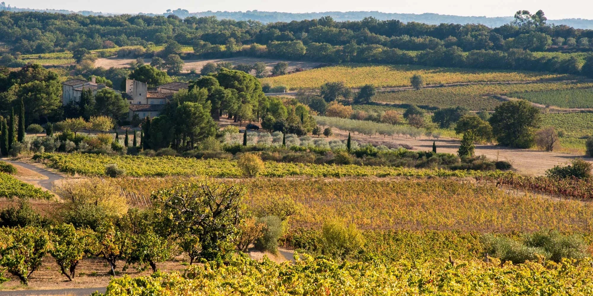 Chateau la Font des Ormes