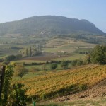 Domaine Peylong