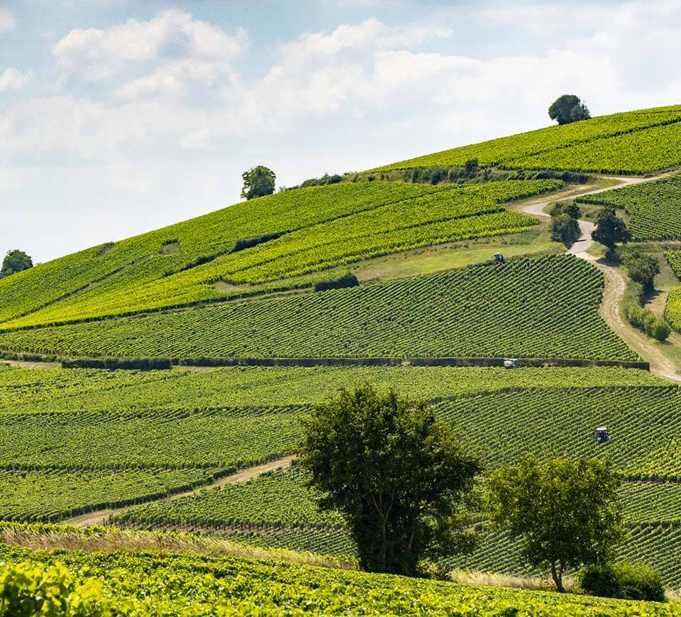 Domaine Jean-Max Roger
