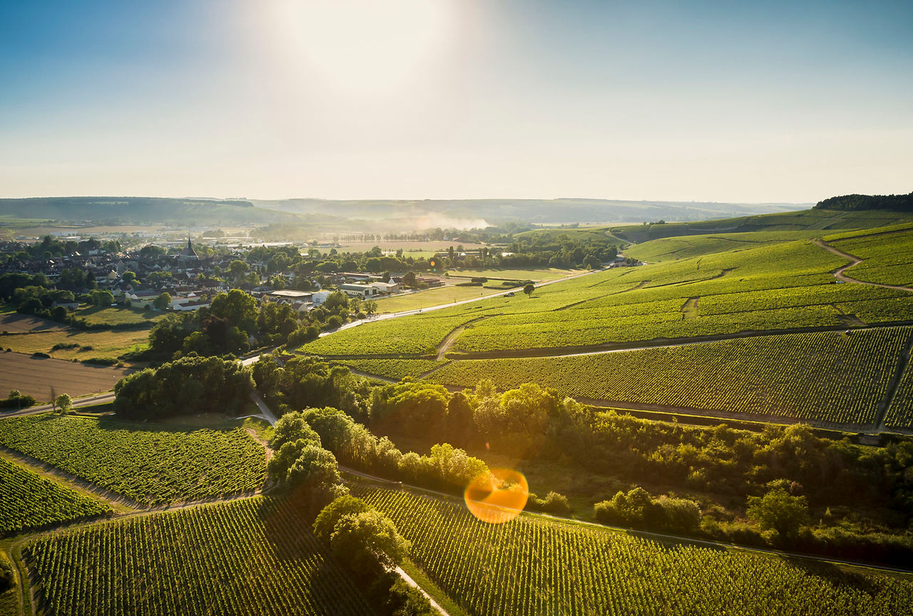 Domaine des Geneves
