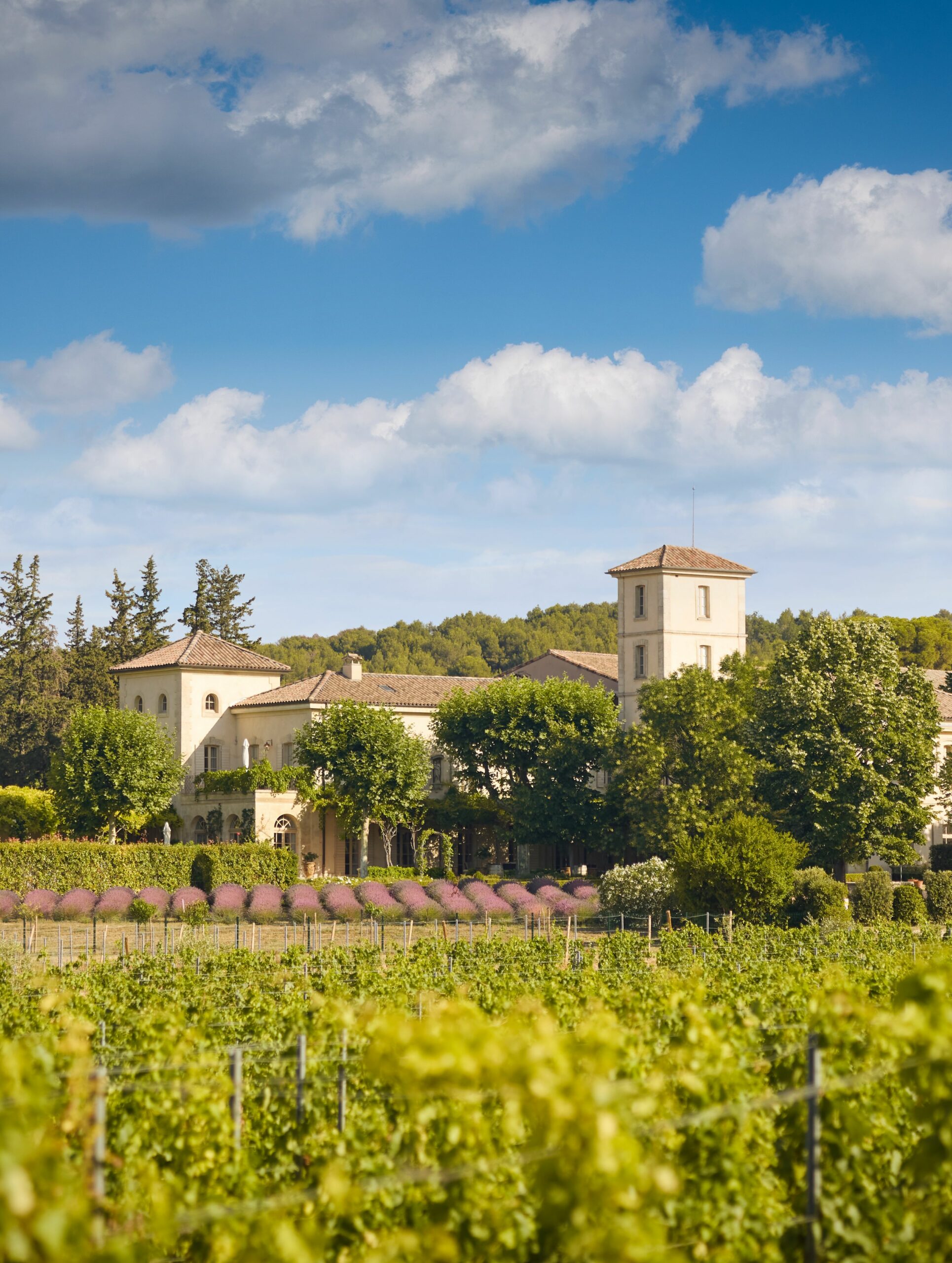 Chateau Gigognan