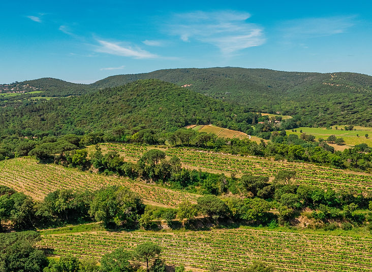 Domaine Tropez