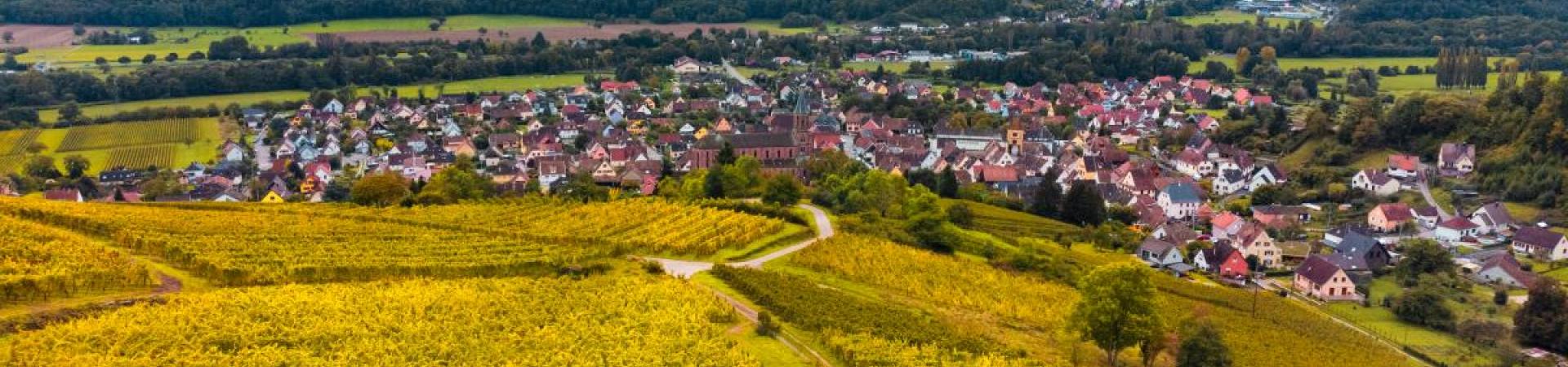 Domaine Schoenheitz