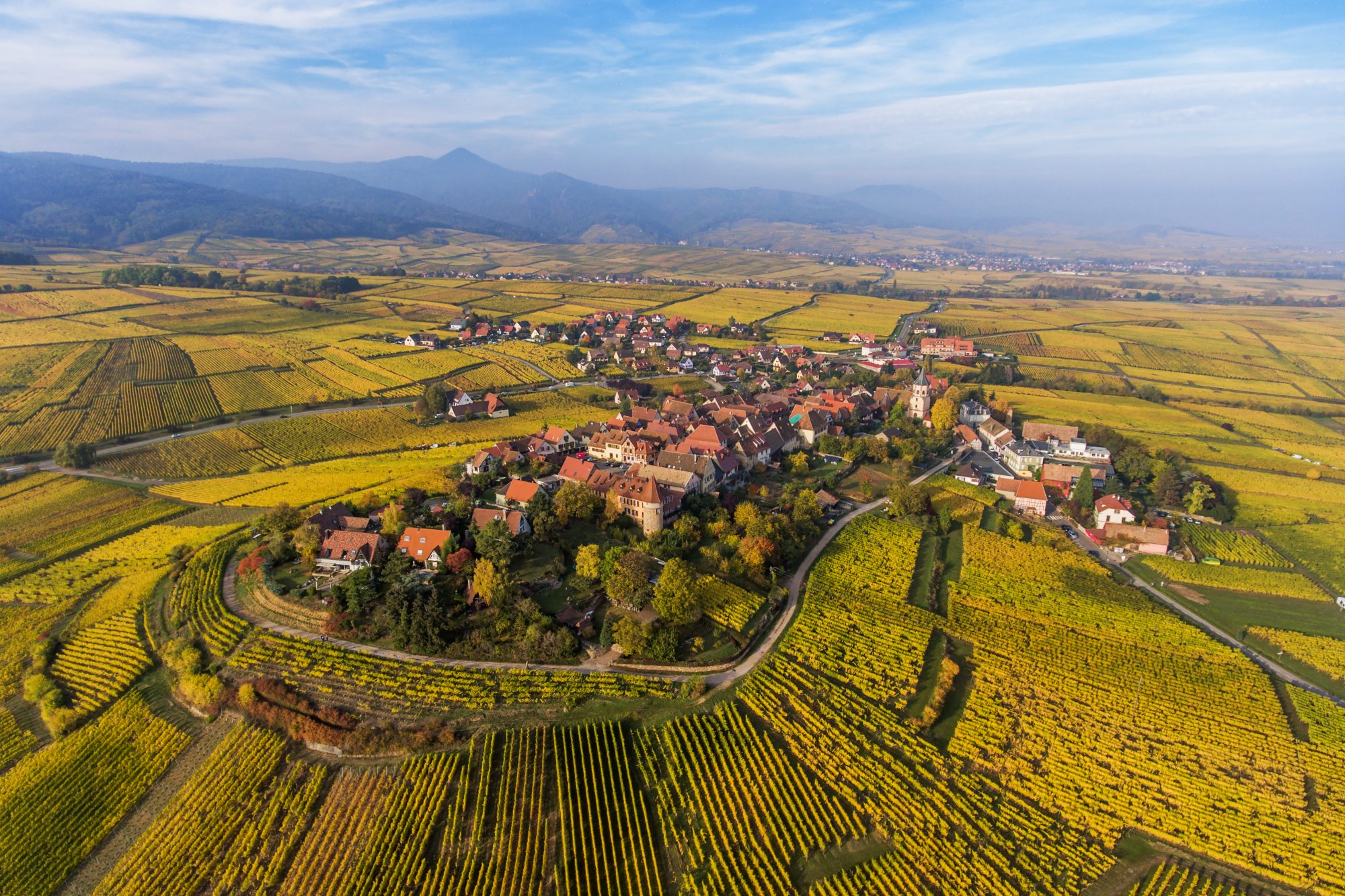 Domaine Edmond Rentz