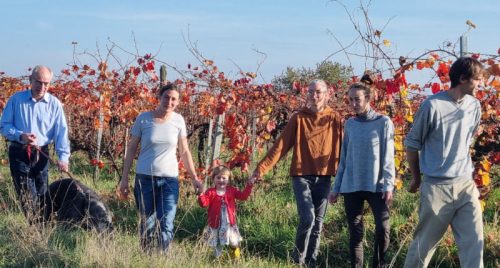 Bio-Musterweingut Josef Loimer
