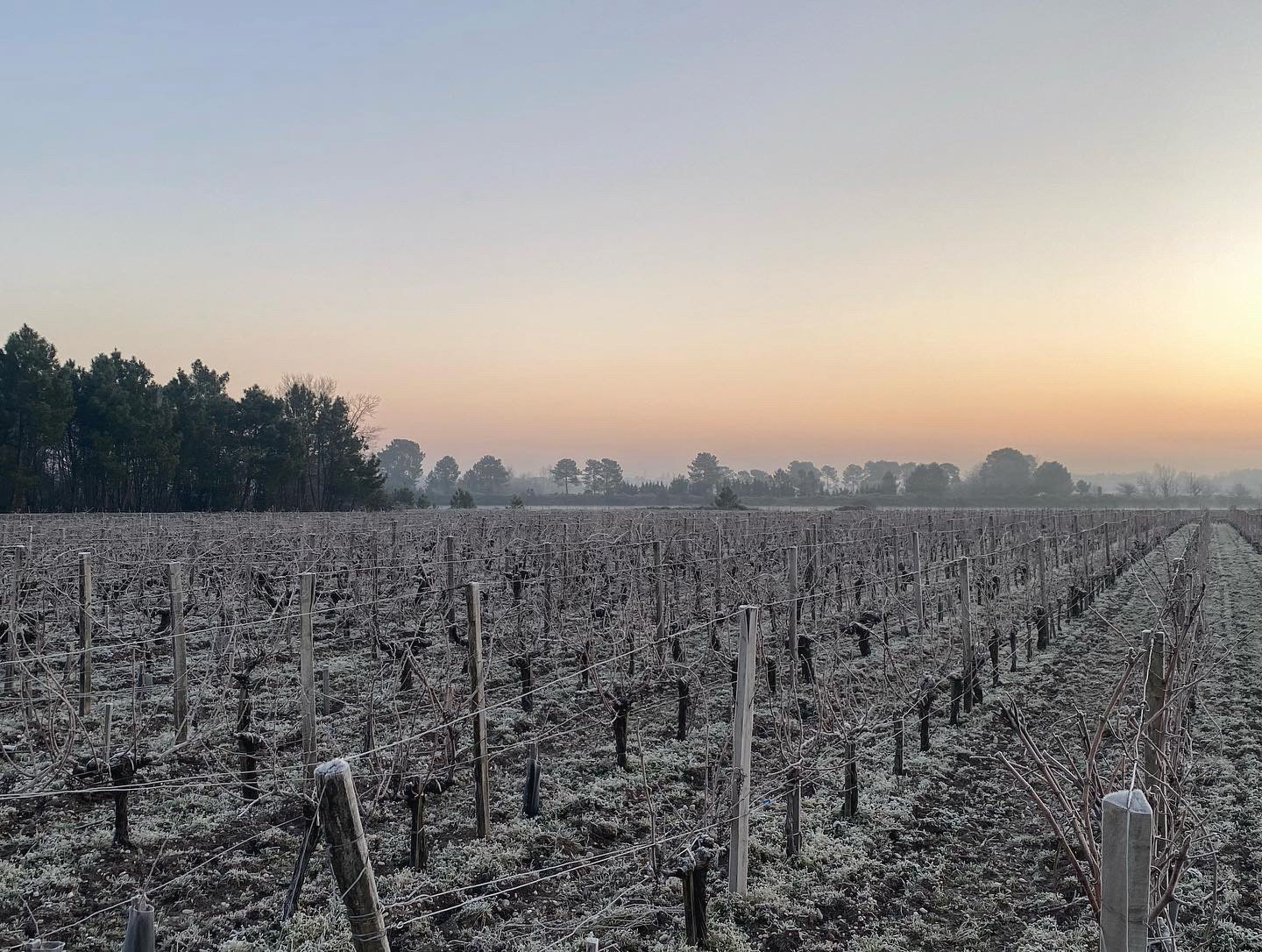 Chateau Mongravey