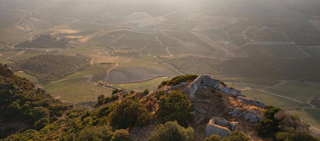 Domaine Arena