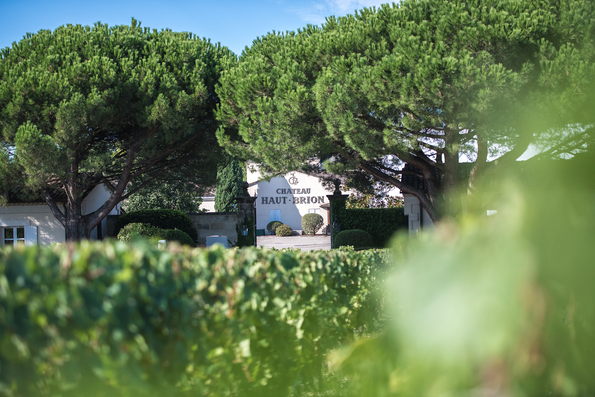 Château Haut Brion