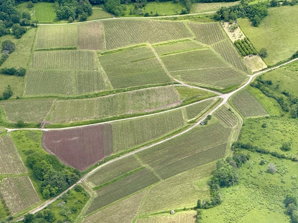Benoit Badoz - Domaine