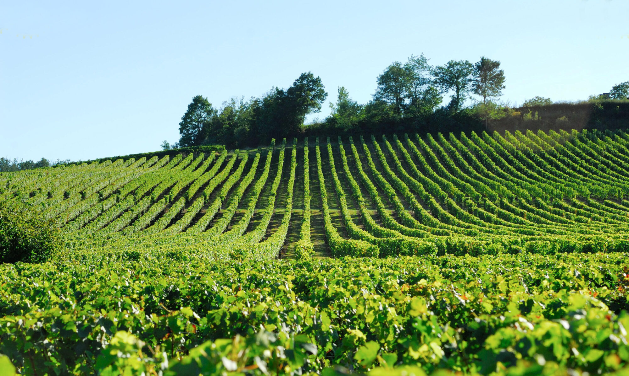 Château La Mothe du Barry