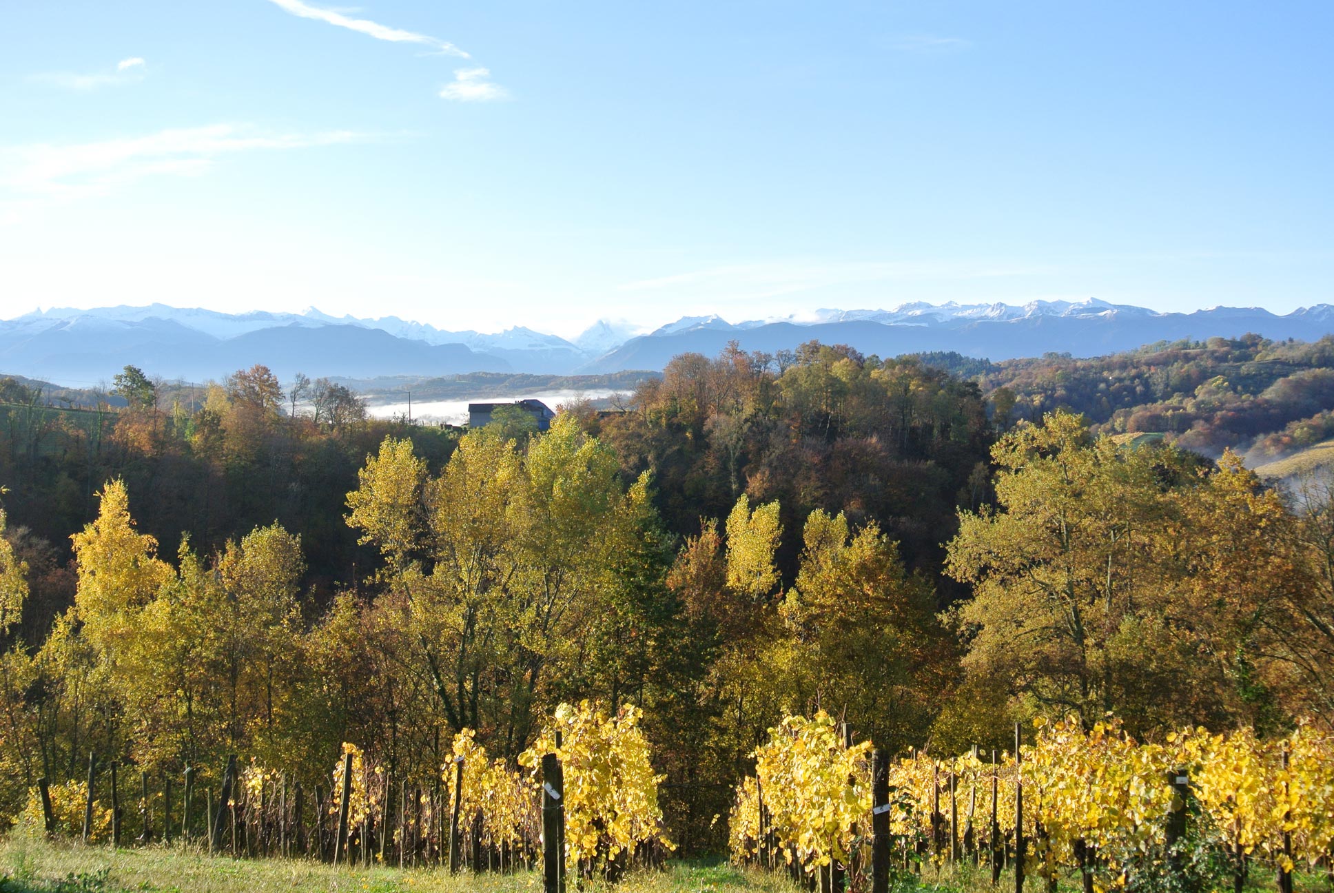 Cru Lamouroux