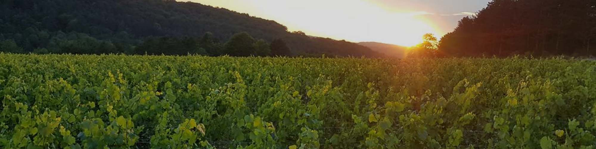 Domaine Emmanuel Giboulot