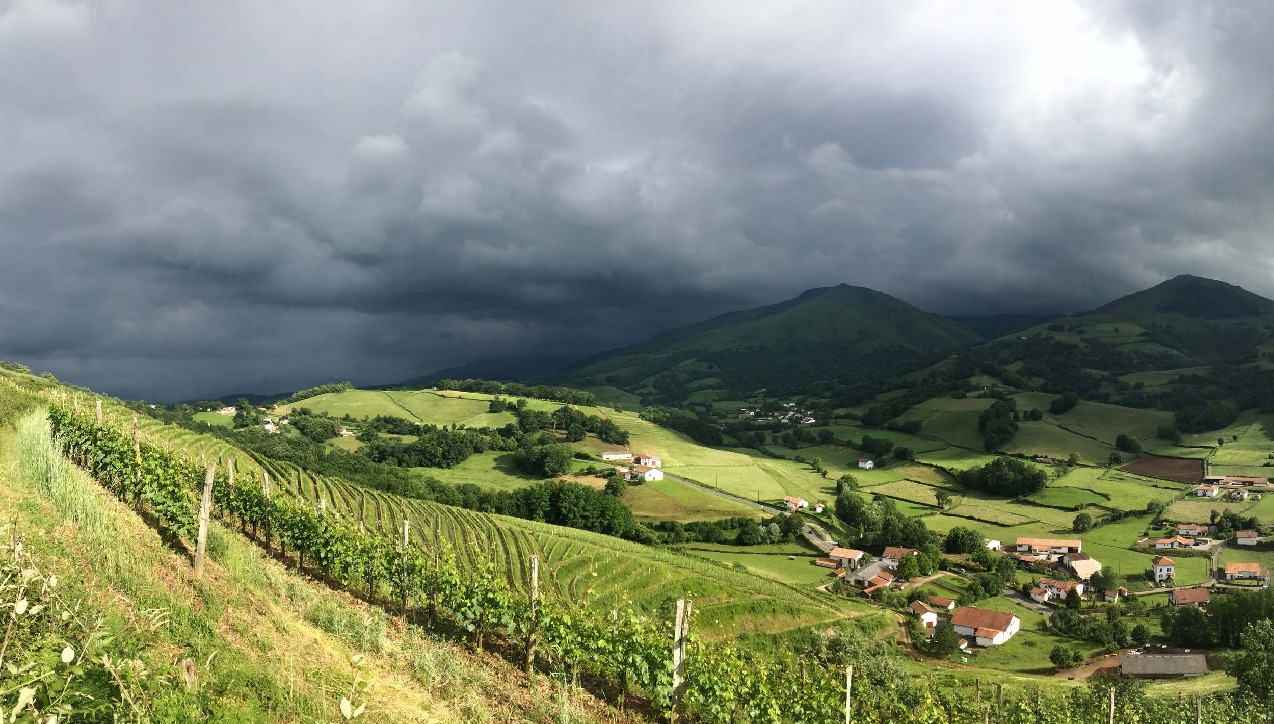 Domaine Ameztia