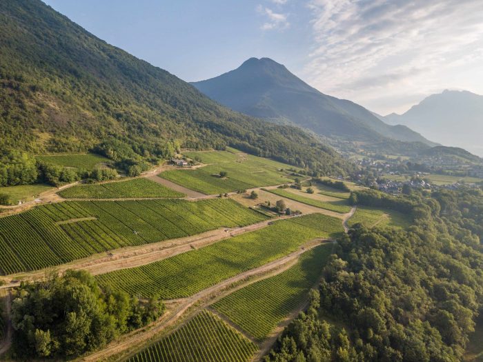 Domaine Genoux