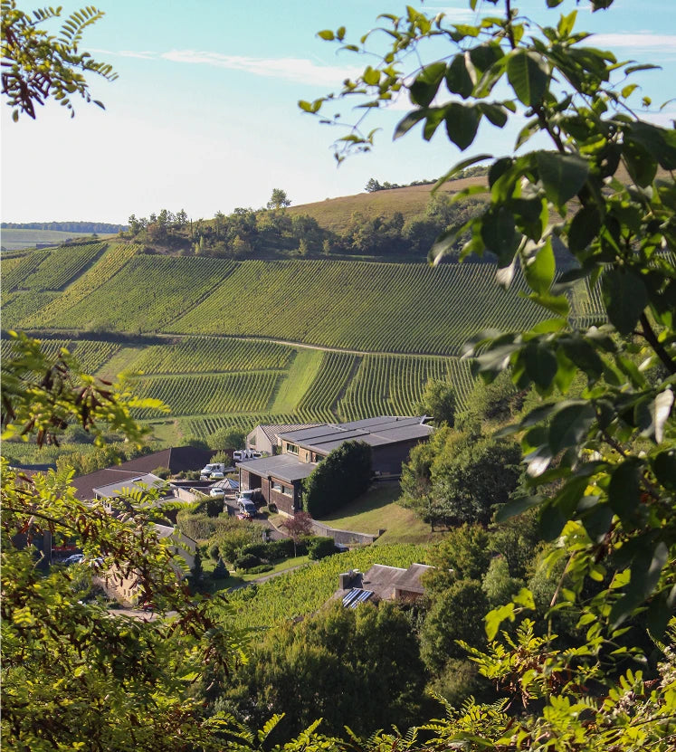 Domaine Henri Bourgeois