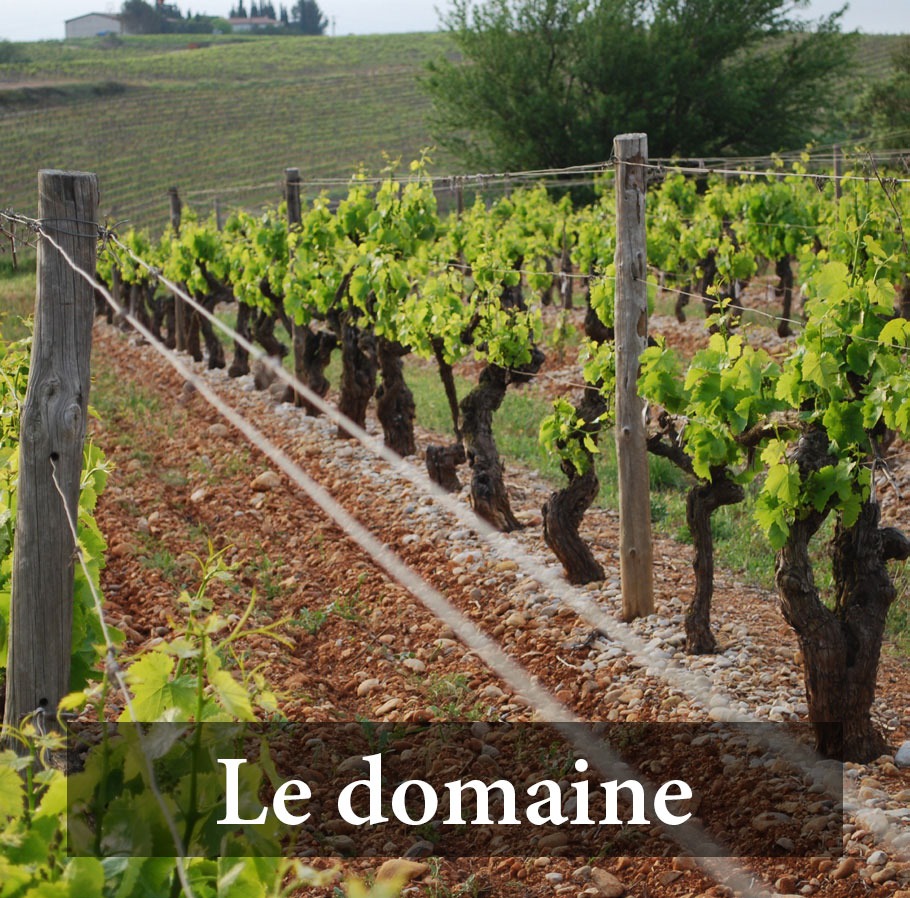 Domaine Haut Courchamp