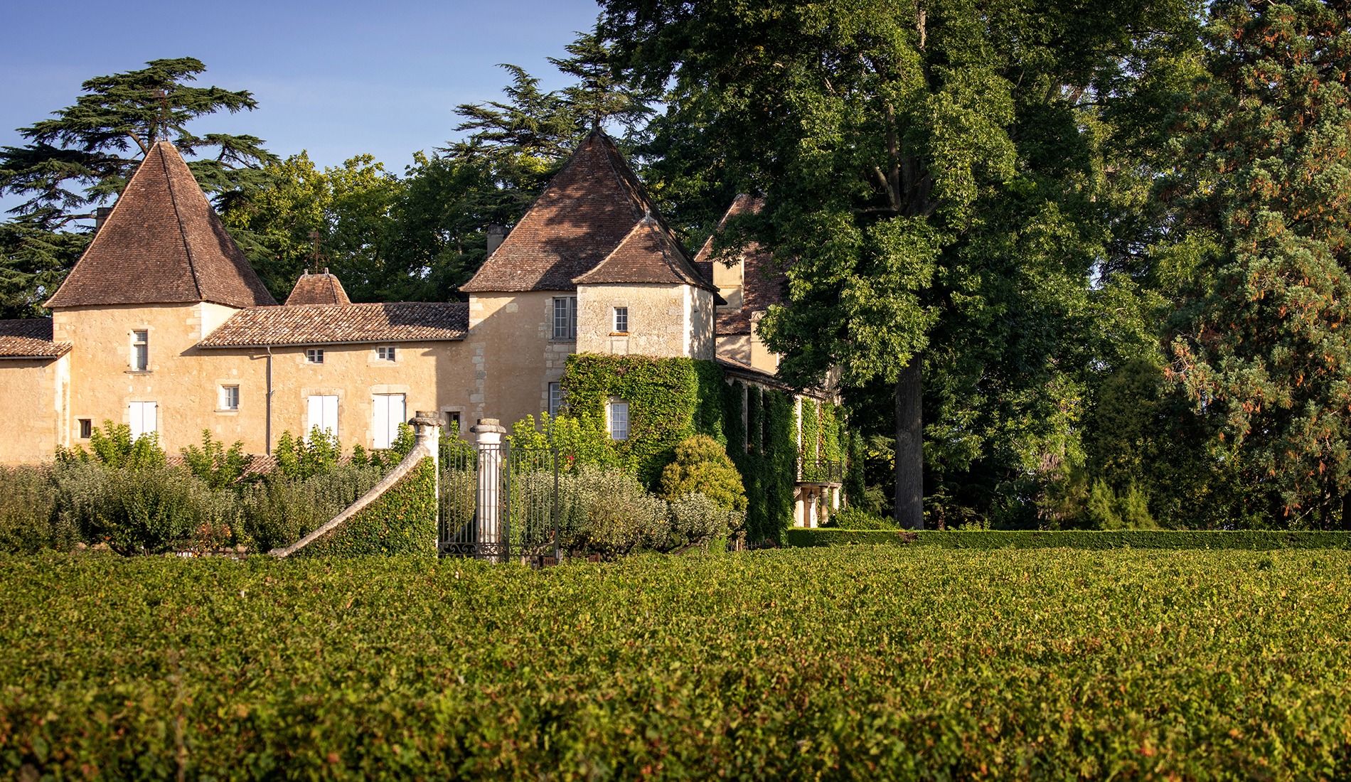 Château Carbonnieux