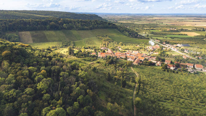 Domaine de Montgrignon