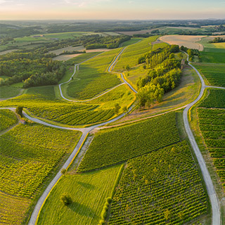 Domaine Grand