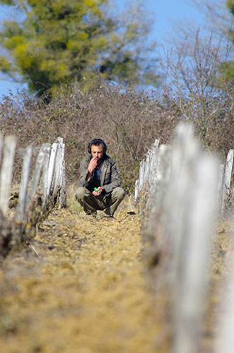 Domaine La Varenne