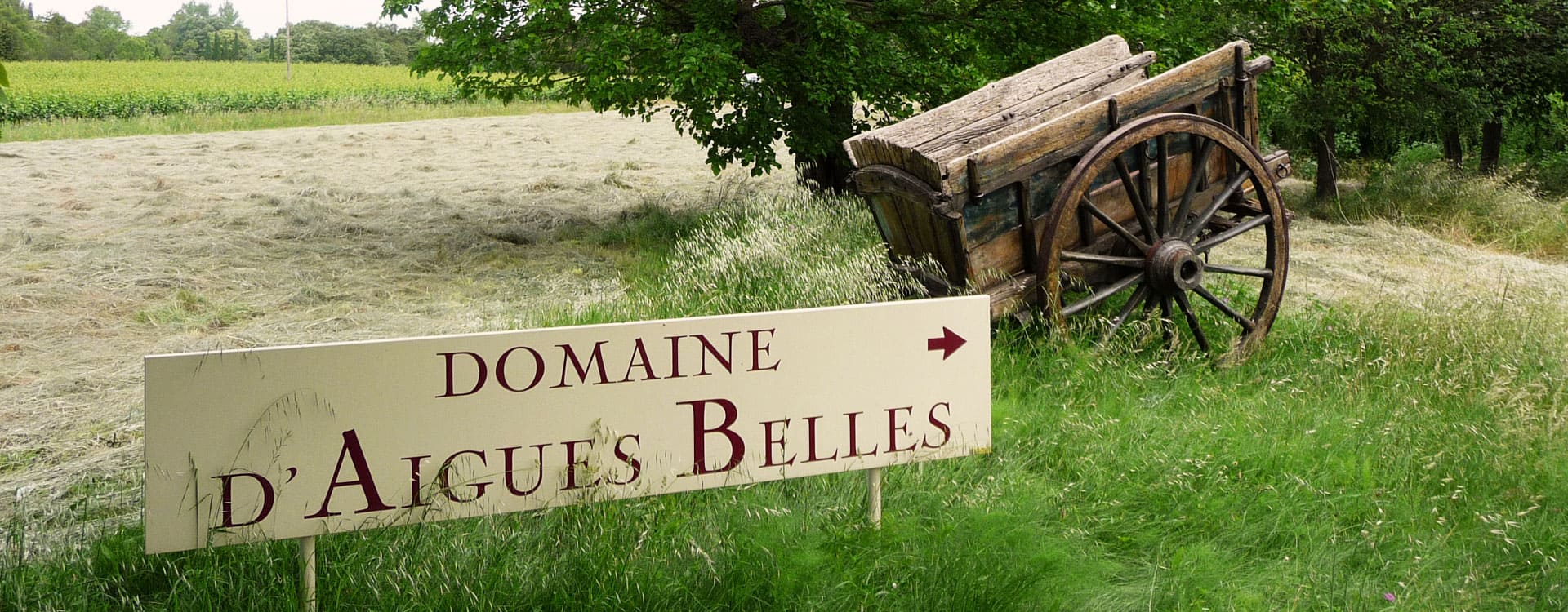 Domaine d’Aigues Belles
