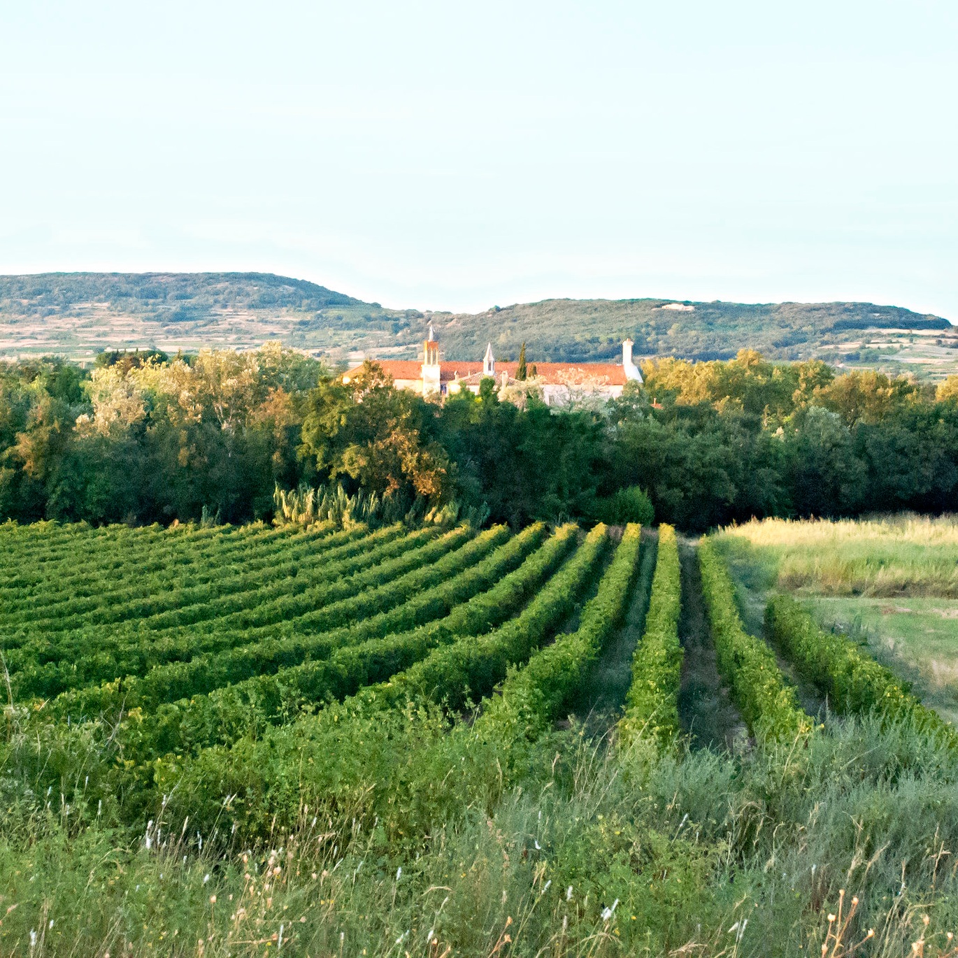 Domaine Chartreuse de Mougères