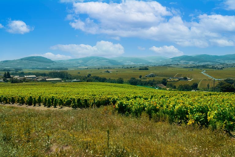 Domaine Lathuiliere-Gravallon