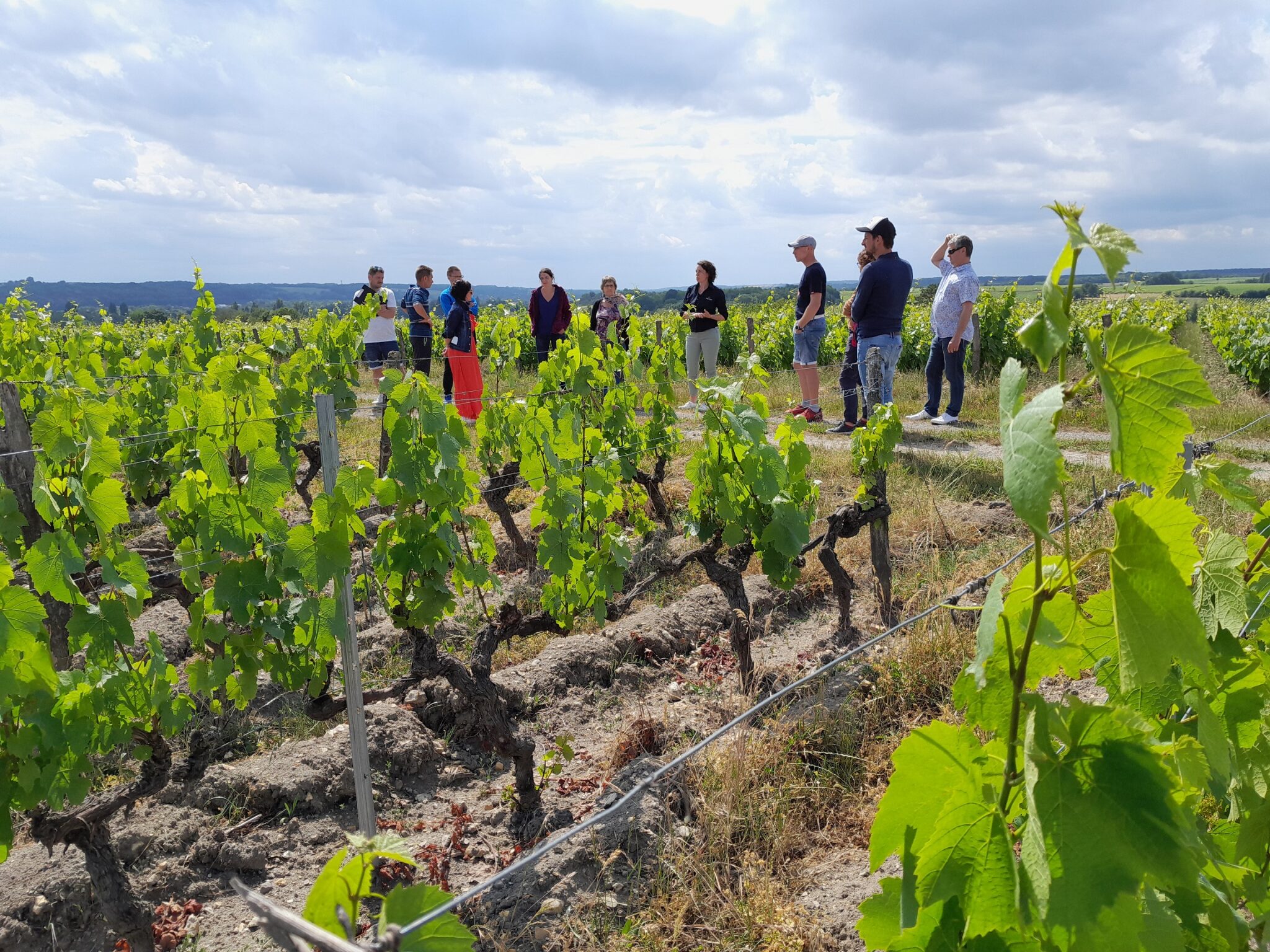 Domaine sauvète