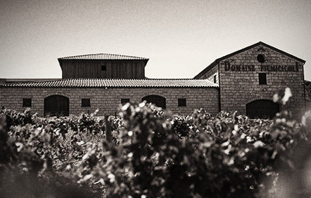 Domaine Fiumicicoli