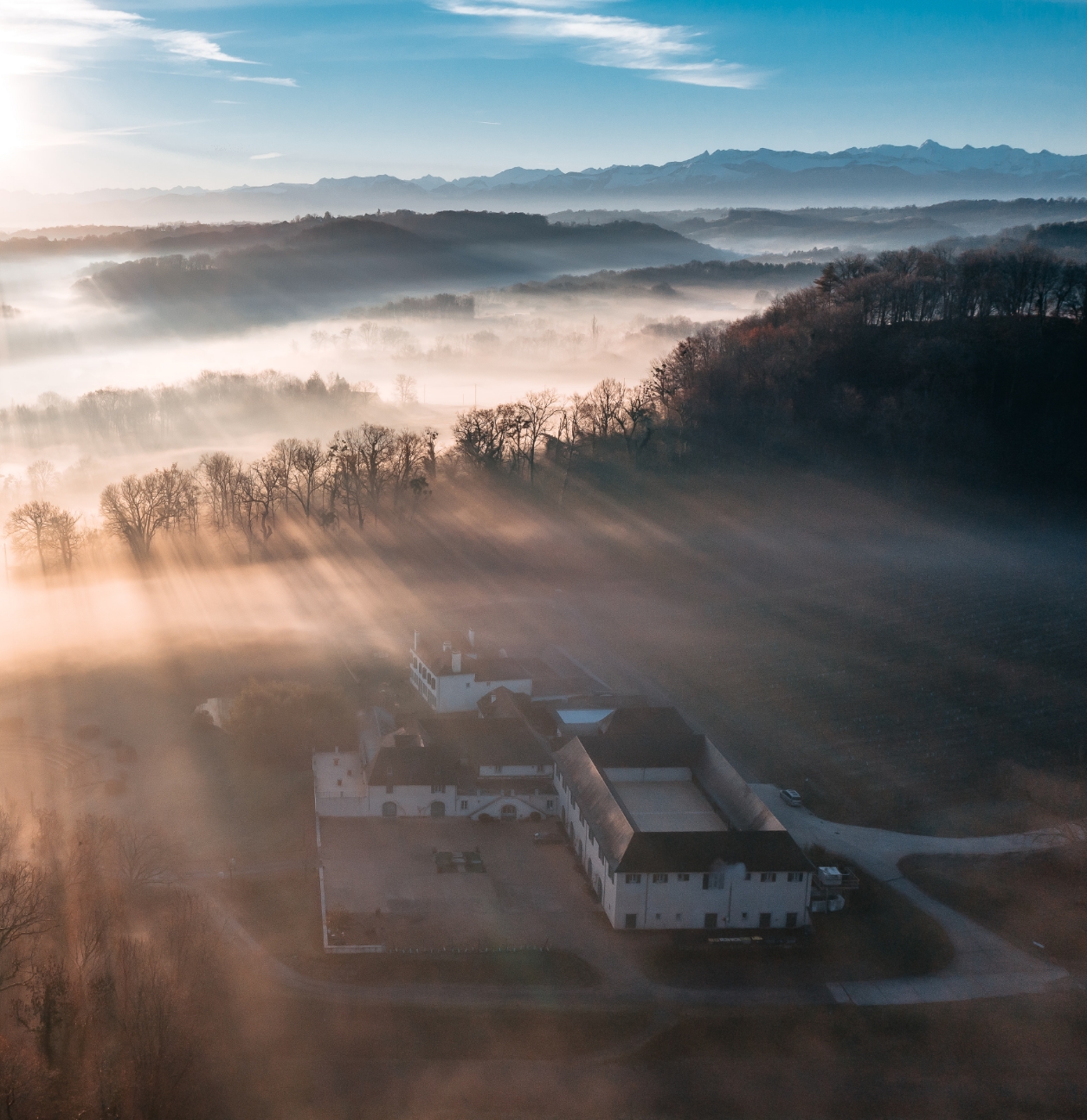 Domaine du Cinquau
