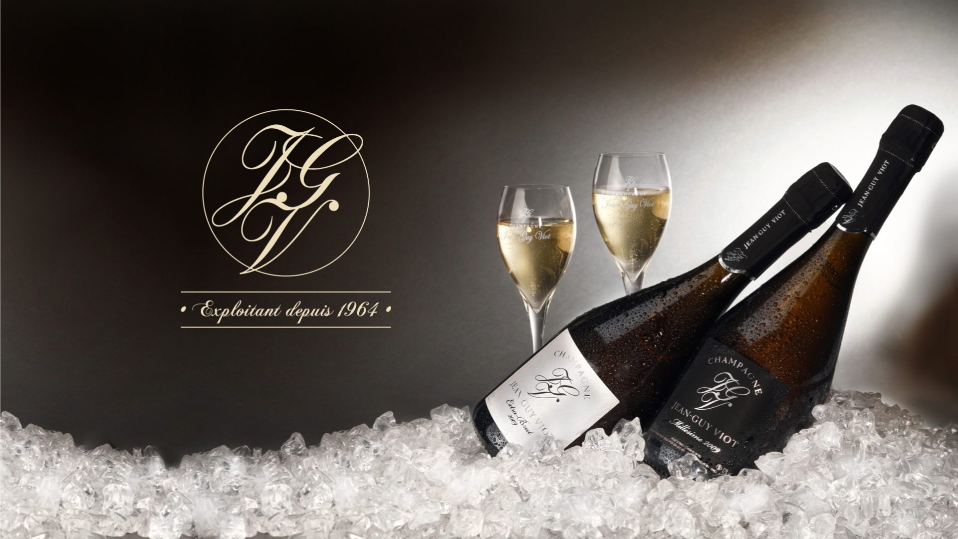 Champagne Jean-Guy Viot
