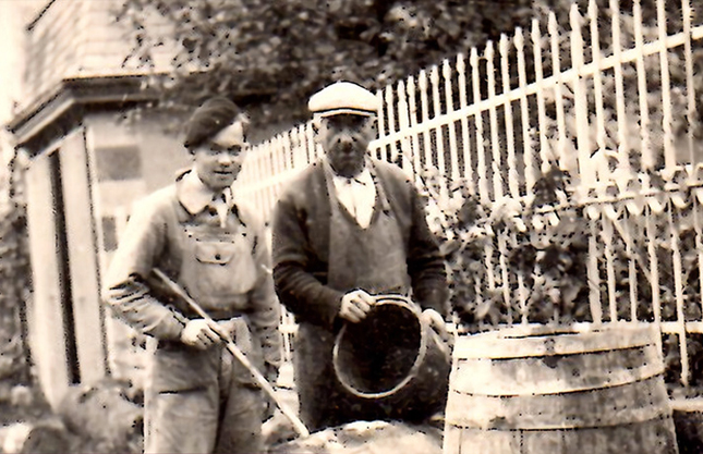 Domaine du Clos du Fief