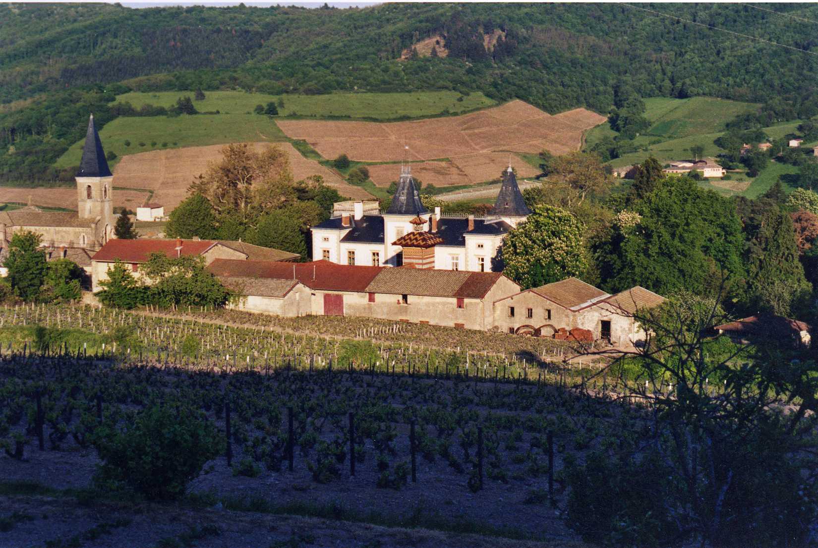 Chateau d'Emeringes