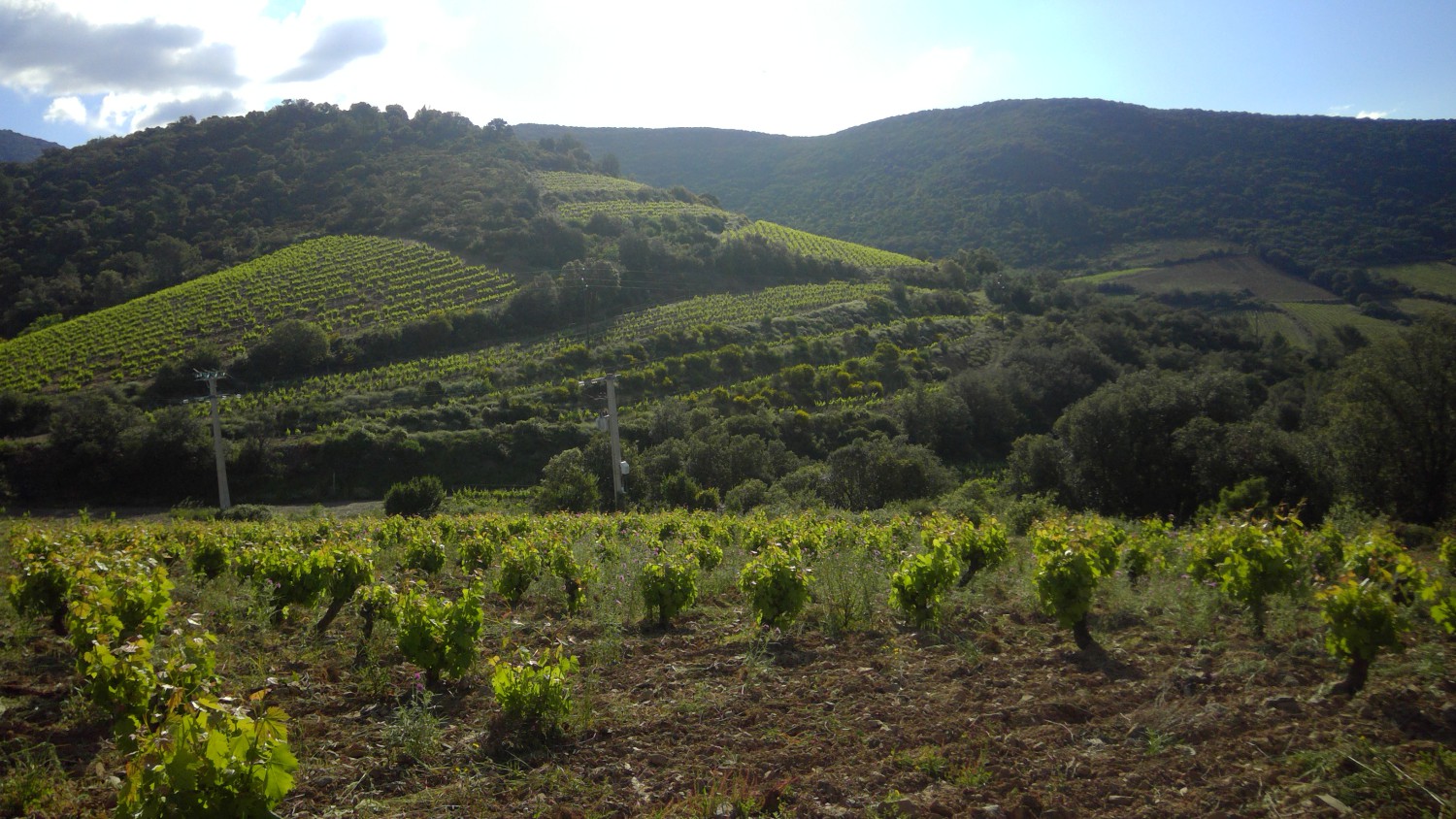 Domaine Navarre