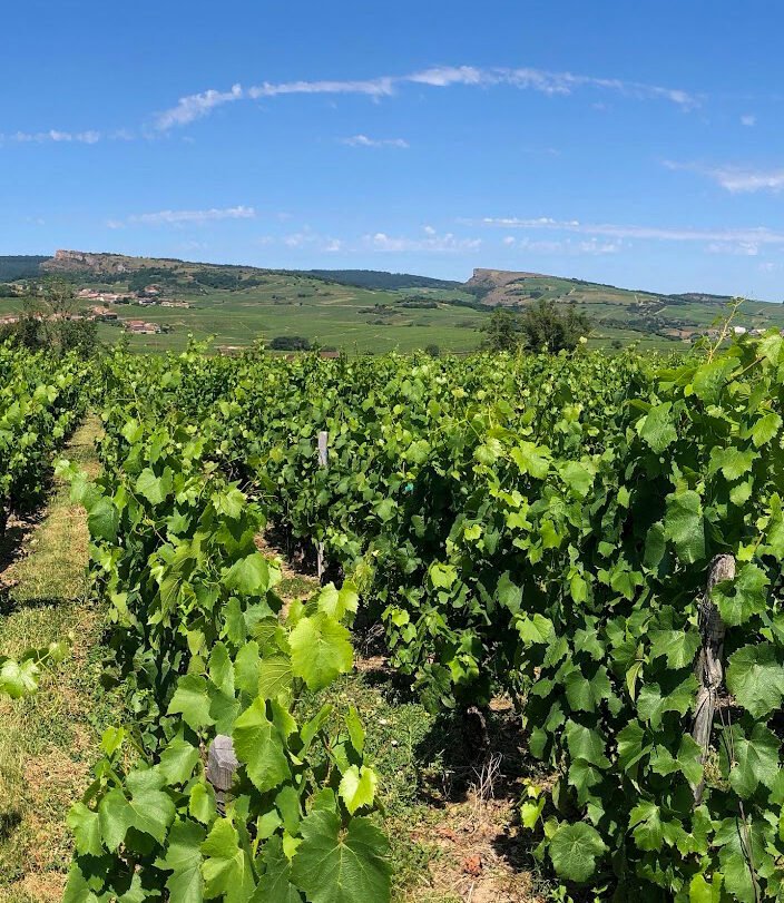 Domaine du Maupas