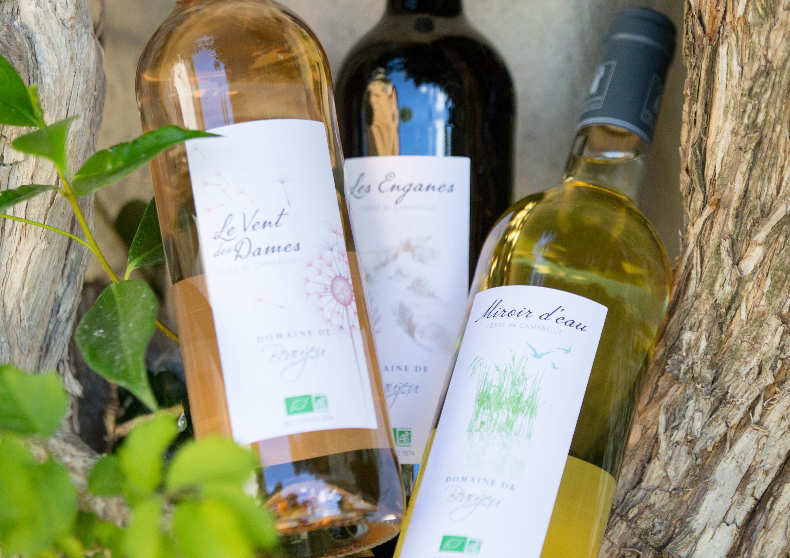 Domaine de Beaujeu