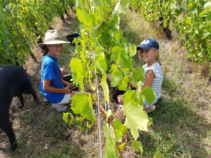 Domaine de Sainte Marie