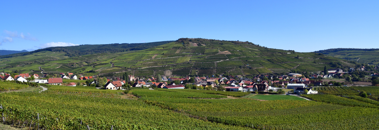 Domaine Léon Boesch