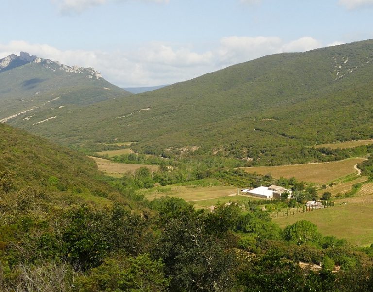 Domaine du Grand Arc