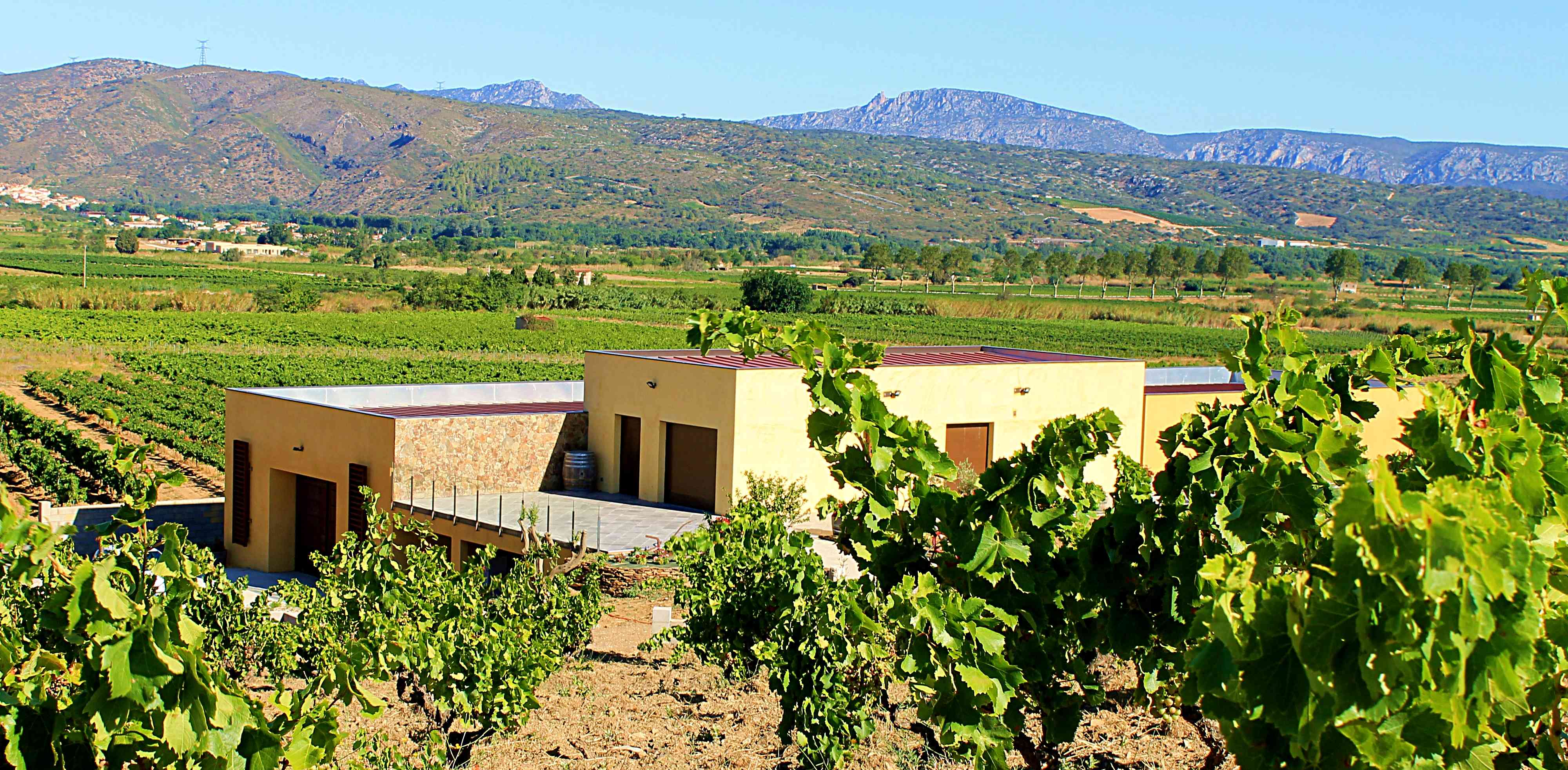 Domaine Deveza